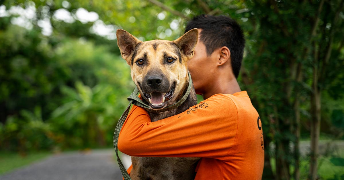 Sponsor ysera soi dog foundation