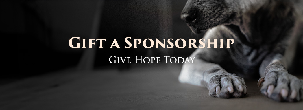 Gift a Sponsorship; Give Hope Today