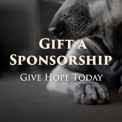 Gift a Sponsorship; Give Hope Today
