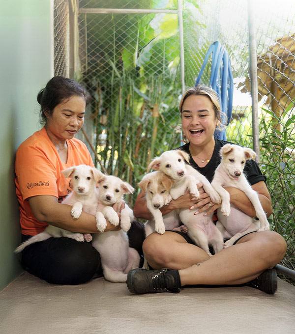 Adoption Hub