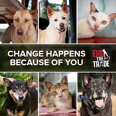 Dogs and cats surrounding an image header that reads 'change happens because of you'