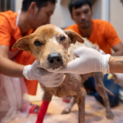 Tungneung being treated in hospital