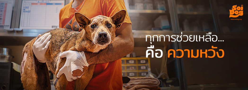 Res_ Header Landing page TH 