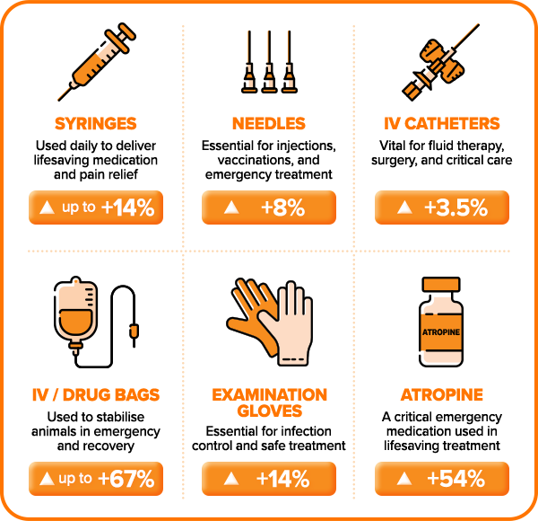 Hidden cost of hospital care infographic