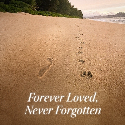 Human footprints and pawprints in the sand with the text 'Forever Loved, Never Forgotten'