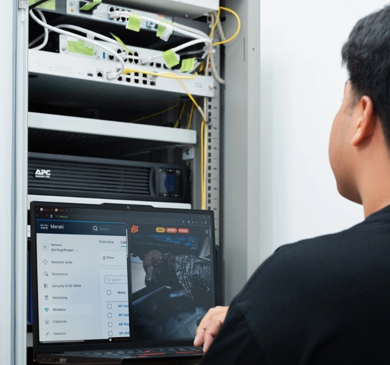 Partnership Cisco Image 2