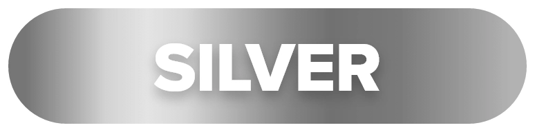 Corporate Partnership Silver Badge