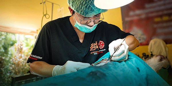 What we do: CNVR