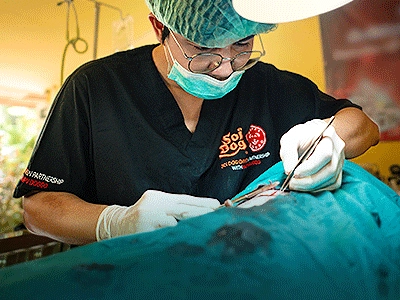 What We Do: CNVR
