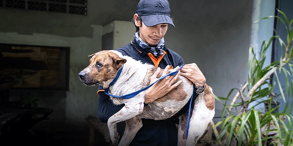 What We Do: Rescue