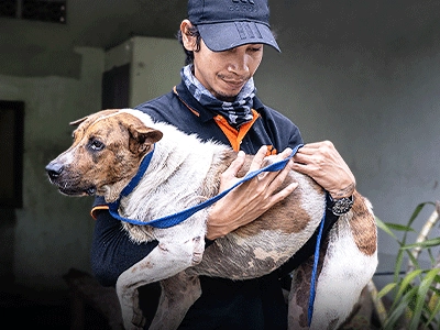 What We Do: Rescue