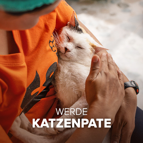 Werde Pate