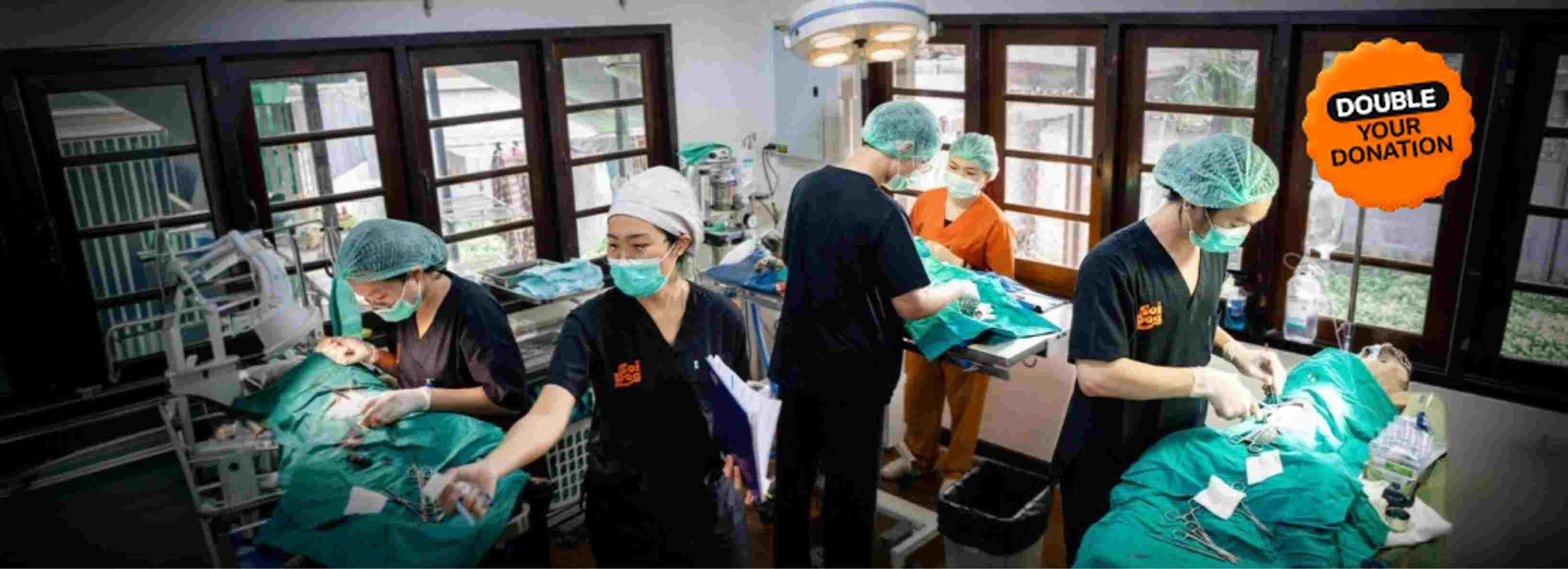 Vets in cramped surgery room