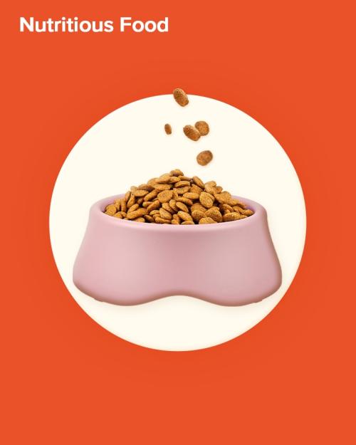 04-Virtual-Gifts_Nutritious.jpg