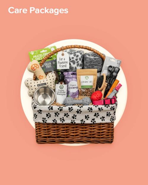 07-Virtual-Gifts_CarePack.jpg