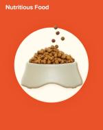 03-Virtual-Gifts_Nutritious.jpg
